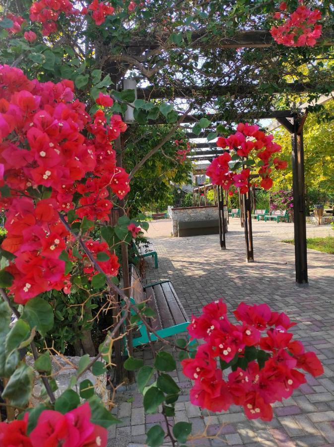 Villa Anthemida Chania Agia  Zewnętrze zdjęcie