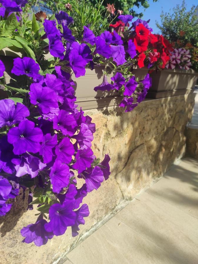 Villa Anthemida Chania Agia  Zewnętrze zdjęcie